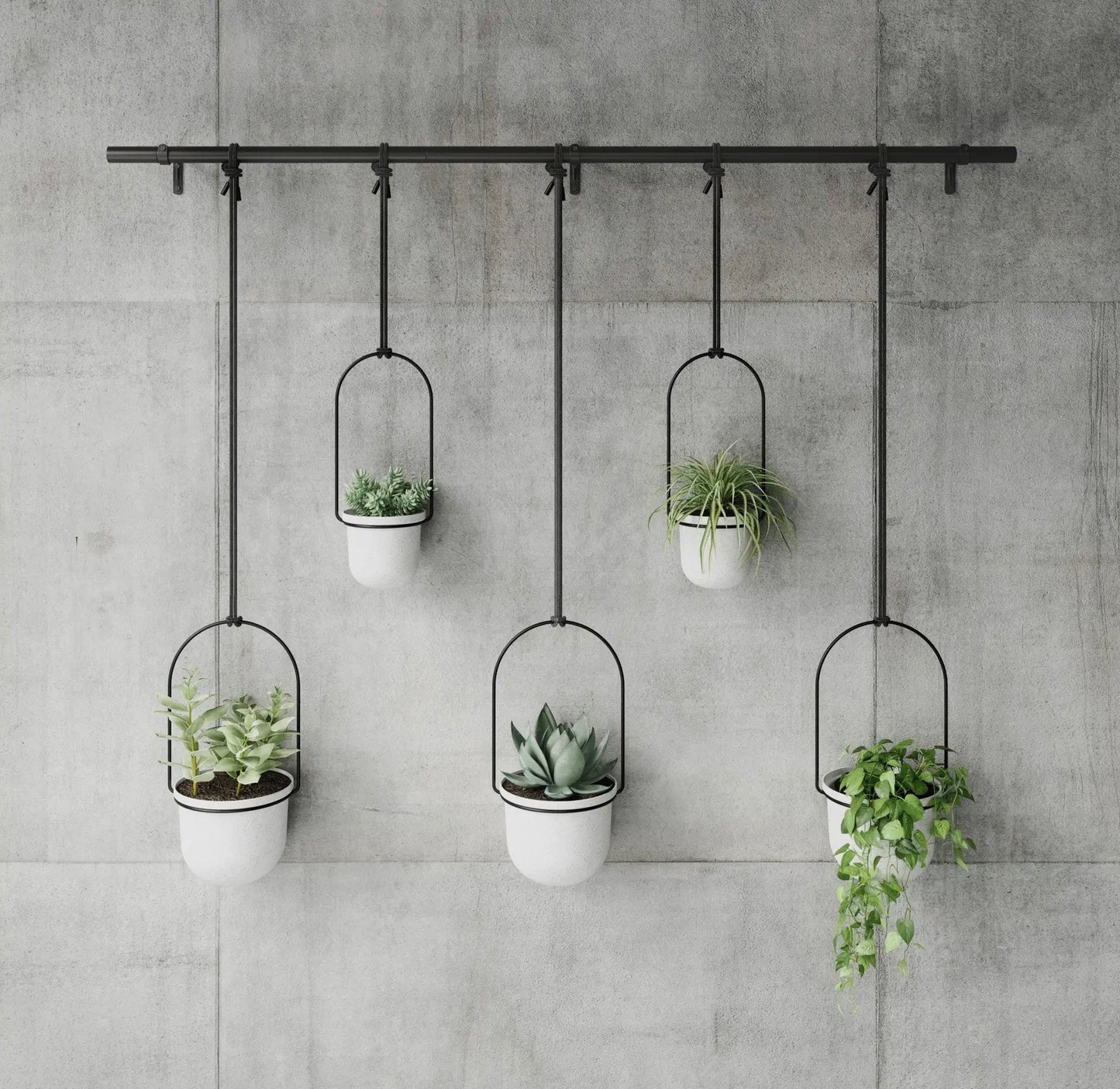 Large Hanging Planter