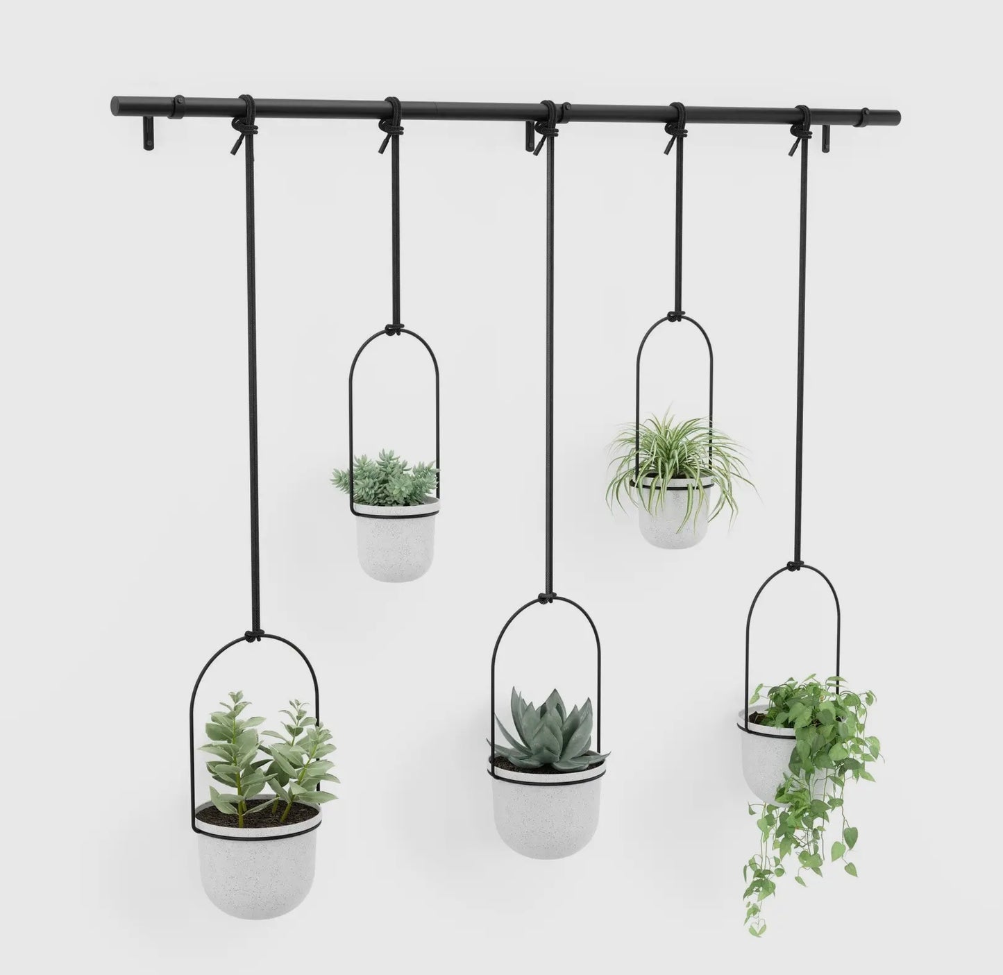 Large Hanging Planter