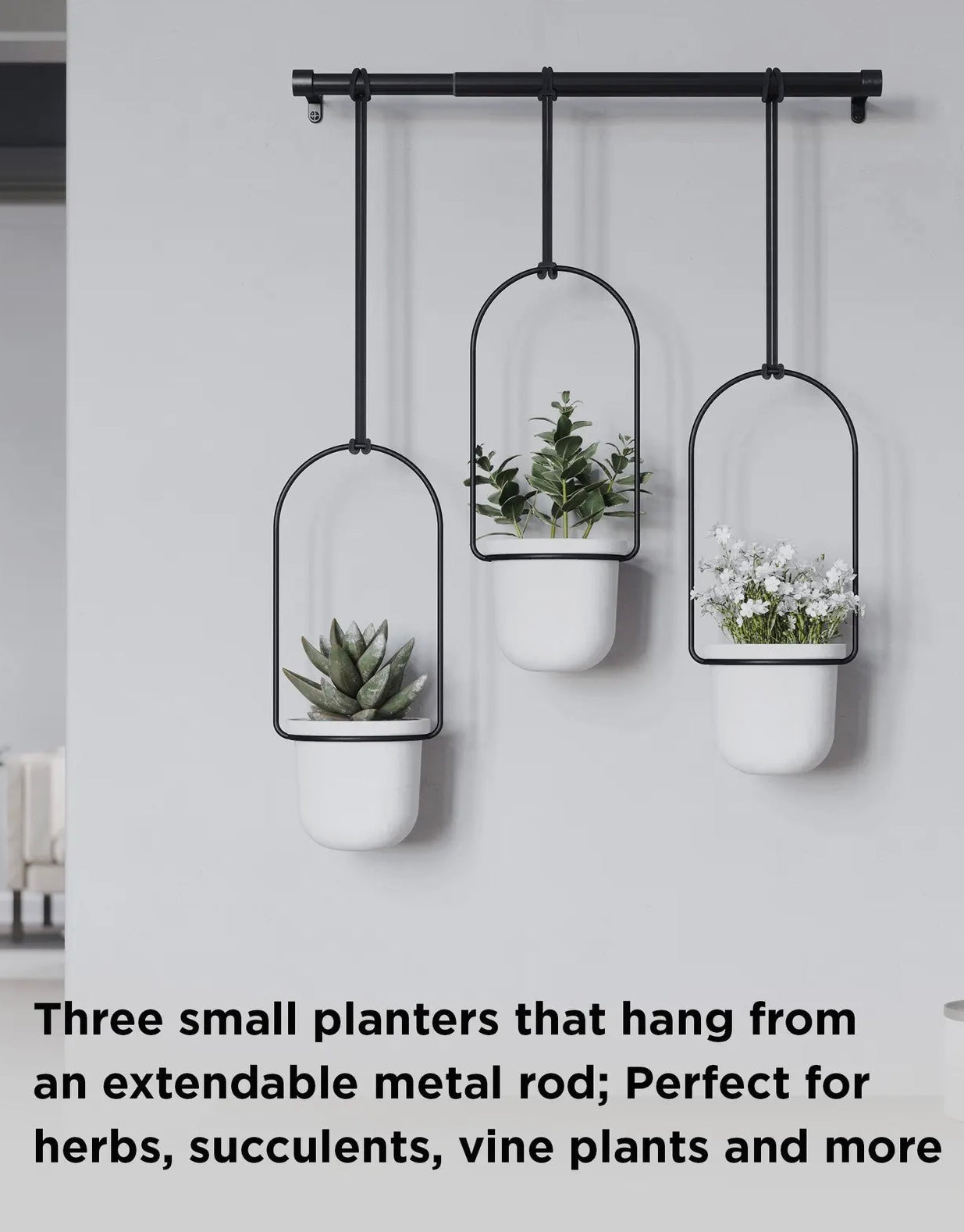 Small Hanging Planter