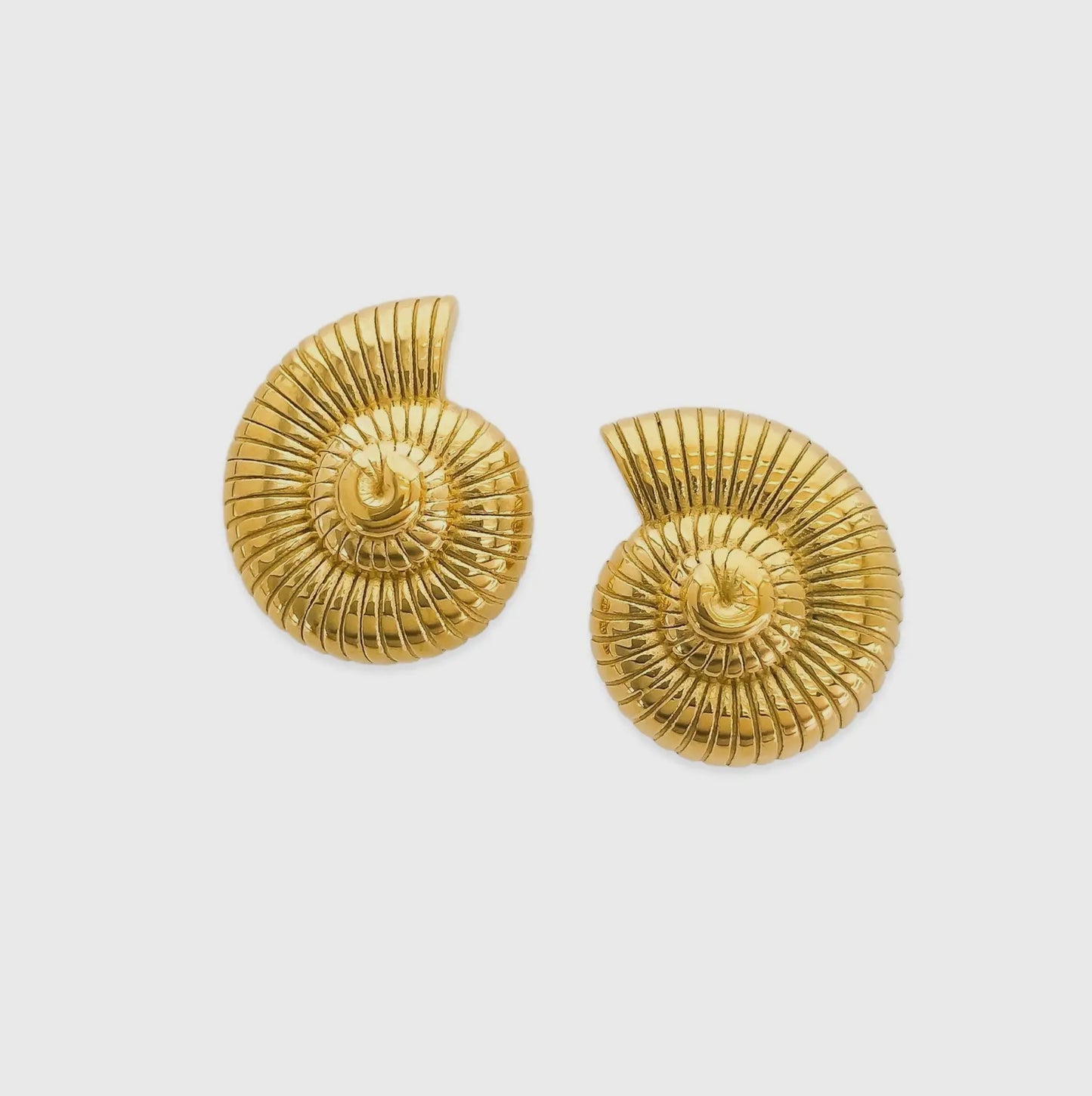 Gold Shell Earrings