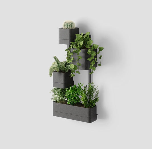Modern Wall Planter - Black & Cream