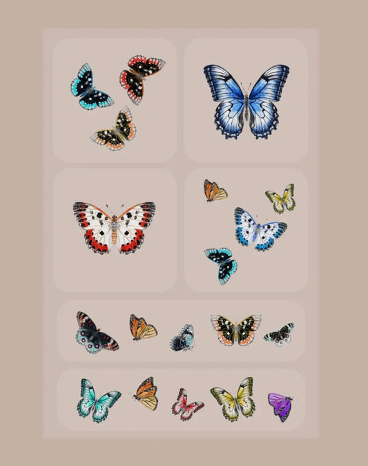 Brains & Beauty Vitamin Patch - Butterfly Print