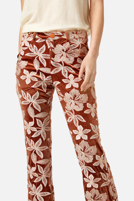 Tan Velvet Embroidered Pant