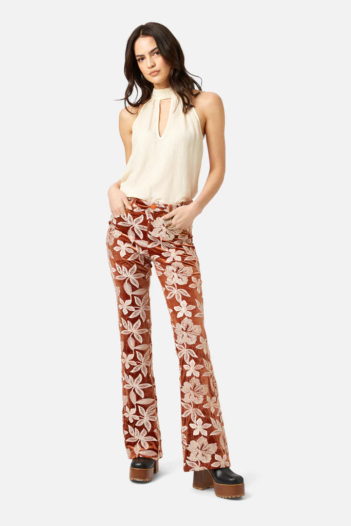 Tan Velvet Embroidered Pant