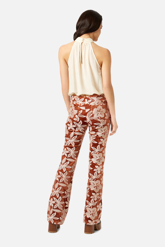 Tan Velvet Embroidered Pant