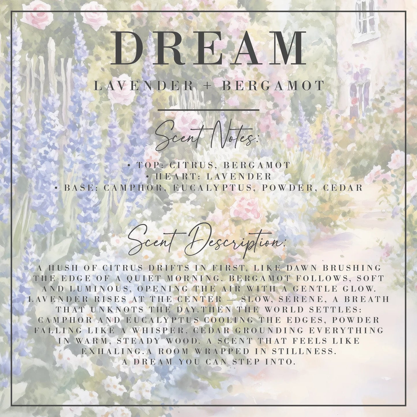 Dream - Lavender & Bergamot Candle