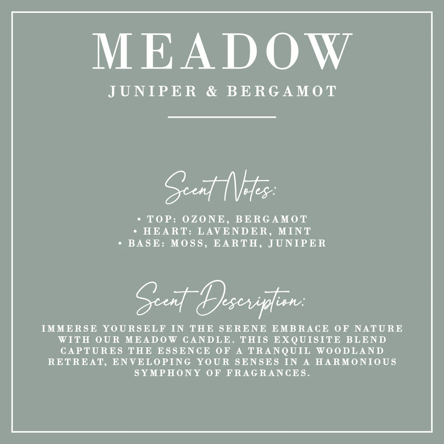 Meadow - Juniper & Bergamot Candle