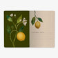 Lemons Notebook