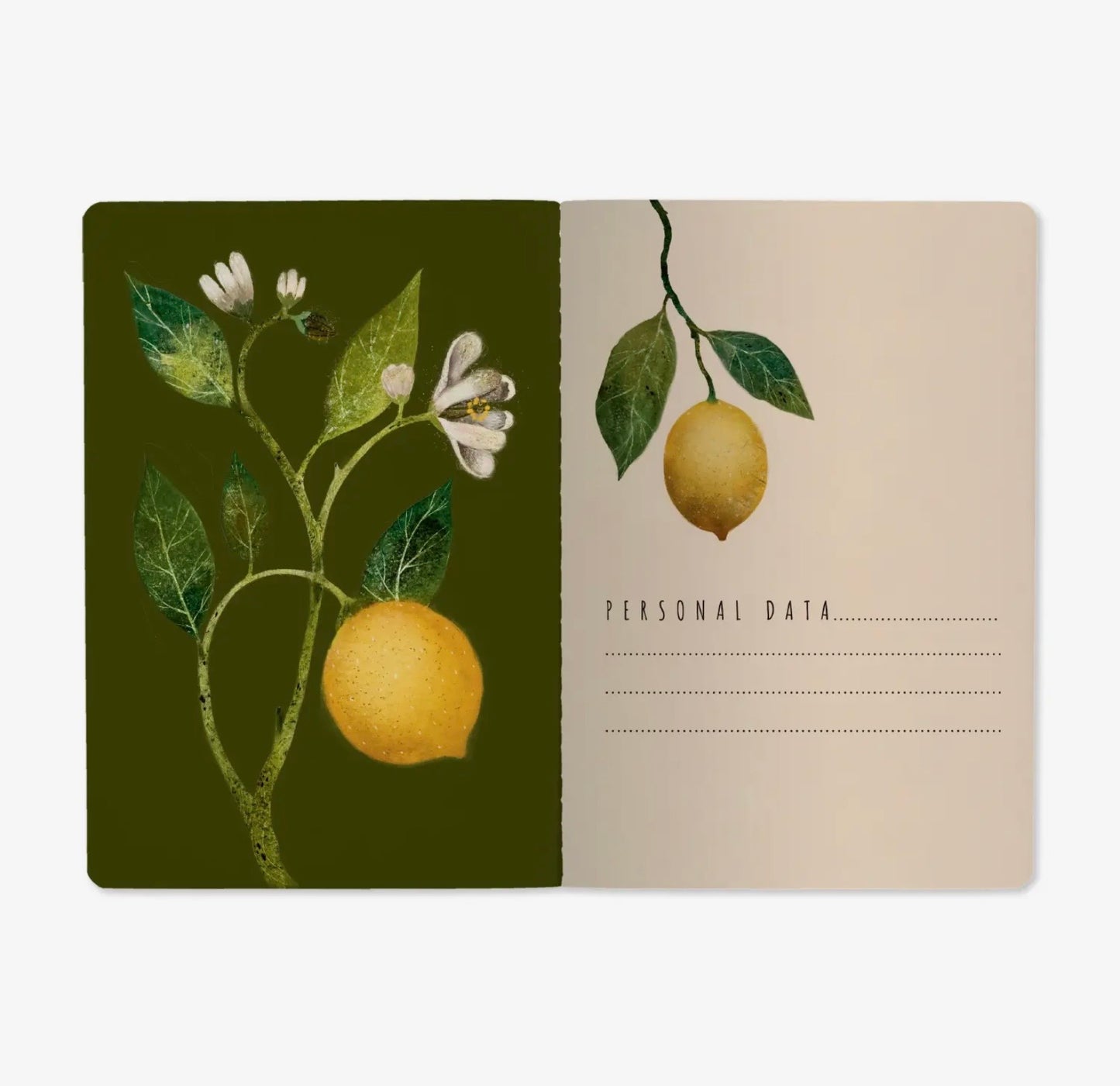 Lemons Notebook