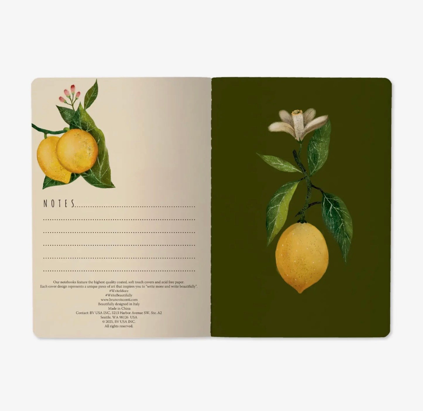 Lemons Notebook