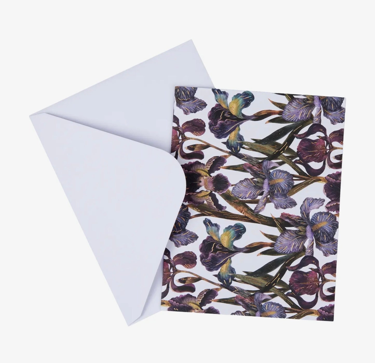Set of 16 Notecards