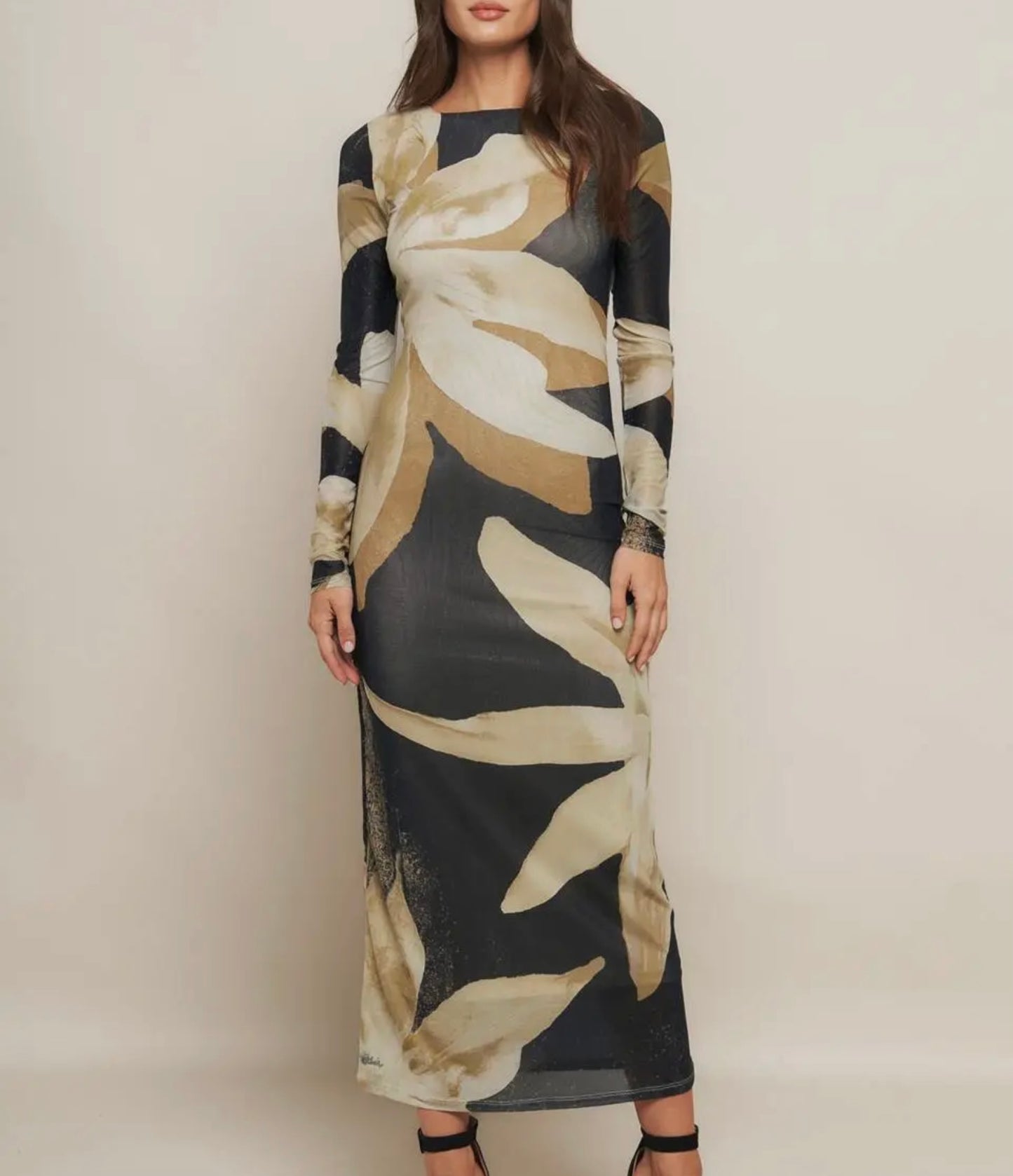 Floral Print Mesh Maxi Dress