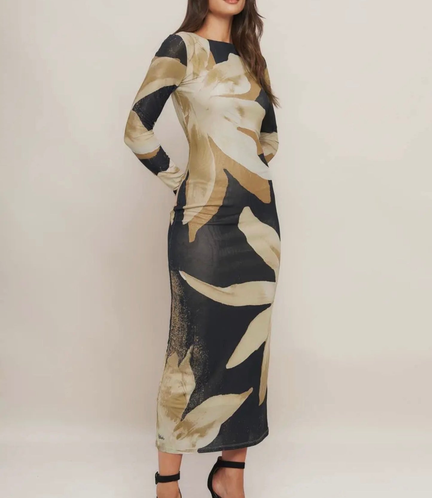 Floral Print Mesh Maxi Dress