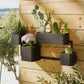 Modern Wall Planter - Black & Cream