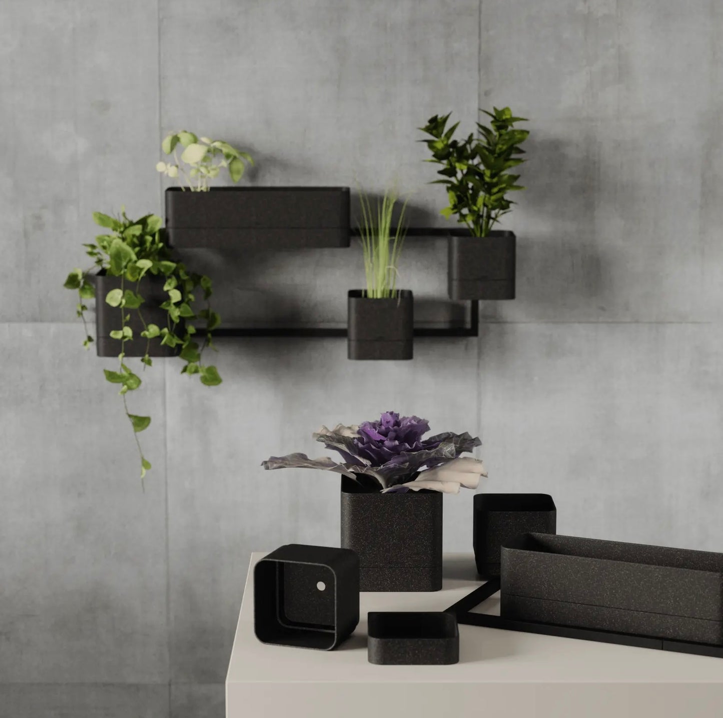 Modern Wall Planter - Black & Cream