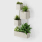 Modern Wall Planter - Black & Cream