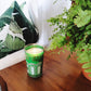 Moroccan Tea Glass Candles