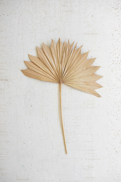 Dried Palm Leaf