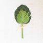 Faux Monstera Leaf Bundle