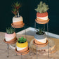 Clay Pot with Metal Base